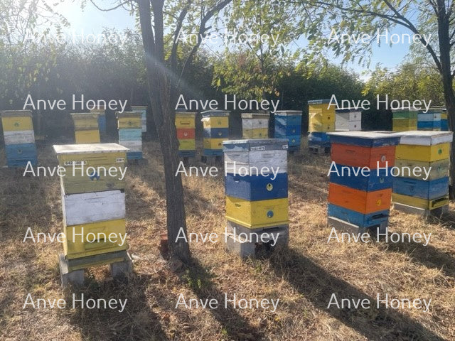 Colourful Beehives