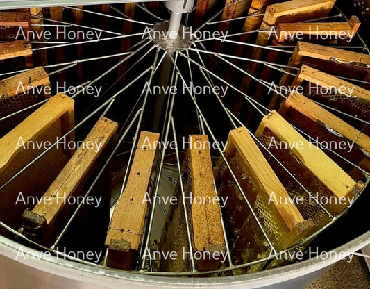 Honey Comb Extraction