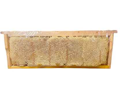 100% Real Raw Pure Organic Honeycomb 100G Tub. Brand New Harvest.