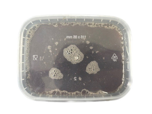 100% Real Raw Pure Organic Mountain Honey 500G Tub. Brand New Harvest.